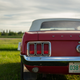 Illustration for article titled A pretty nice Mustang